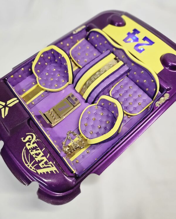 LakerLegend Purple & Gold RC Interior Kit