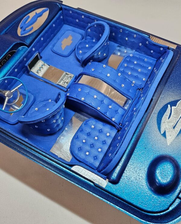 BlazeX Sapphire Storm RC Interior Kit